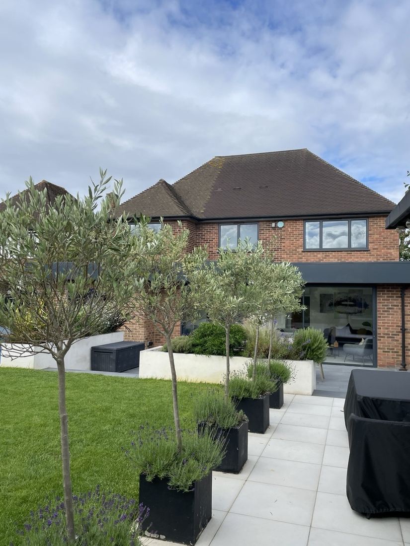 After — rear garden with olive trees and bi-fold doors